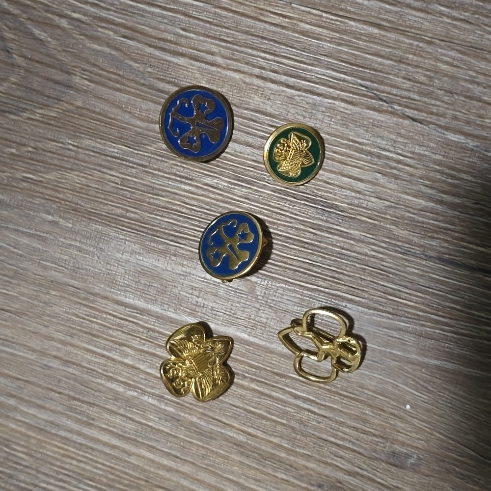 Vintage girl scouts and brownie pins